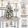 22in Mini Christmas Tree with Light Artificial Small Tabletop Christmas Decoration with Flocked Snow