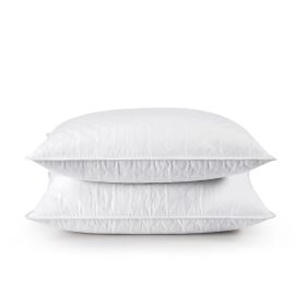 Set of 2 Machine Washable Down Feather Blend Pillow