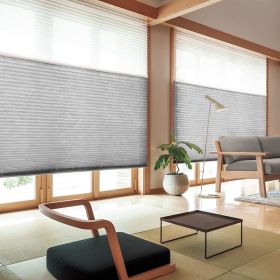 WELLSOURCE Manual Cordless Day and Night Cellular Shades Non Blackout Light Filtering Honeycomb Fabric for Home, Office, Hotel, Club (Color: gray, size: Custom Size)