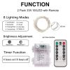 33 Feet 100 LED Fairy Lights with Remote Timer, 2 Pack Battery Operated Twinkle String Lights for Bedroom, Garden, Party